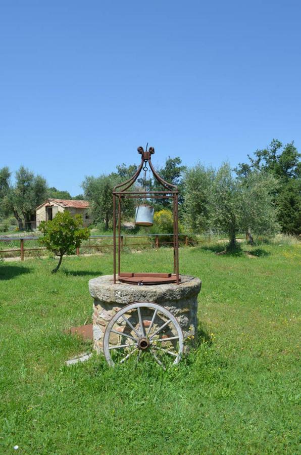 La Casina Degli Olivi Guest House Seggiano Eksteriør bilde